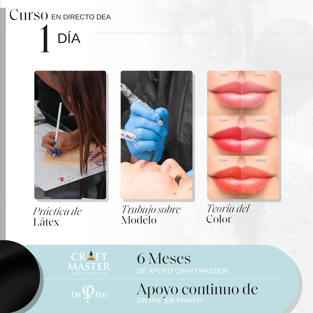 CURSO PHILIPS LAS PALMAS DE GRAN CANARIA - Imagen 3